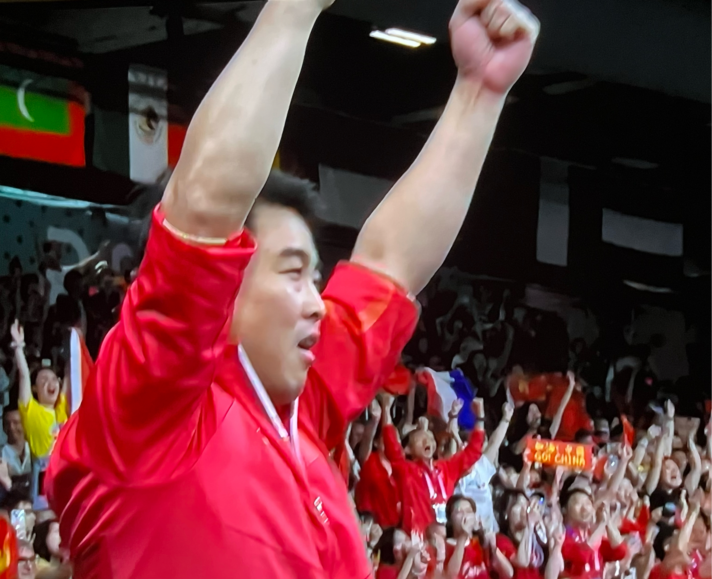 日本乒乓球队血洗瑞典乒乓球队，王皓惊艳世界